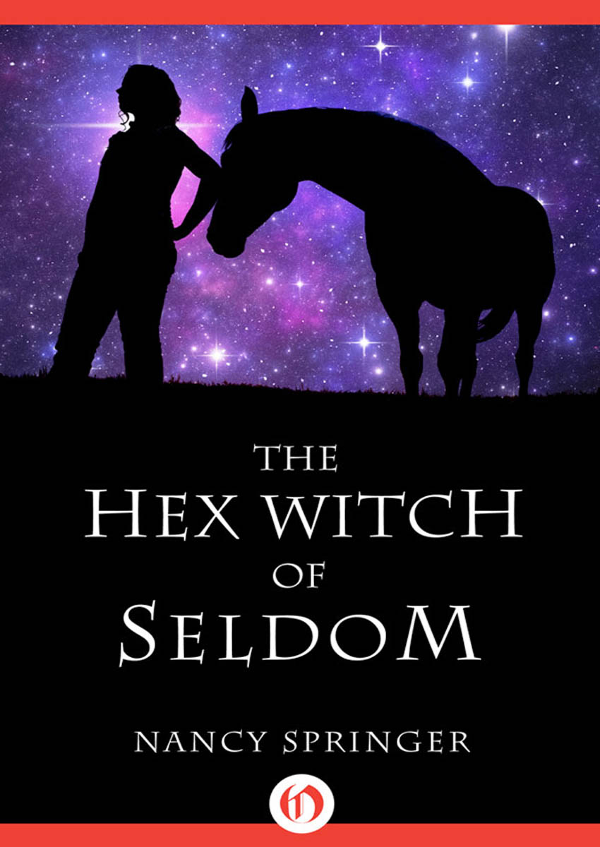The Hex Witch of Seldom by Nancy Springer