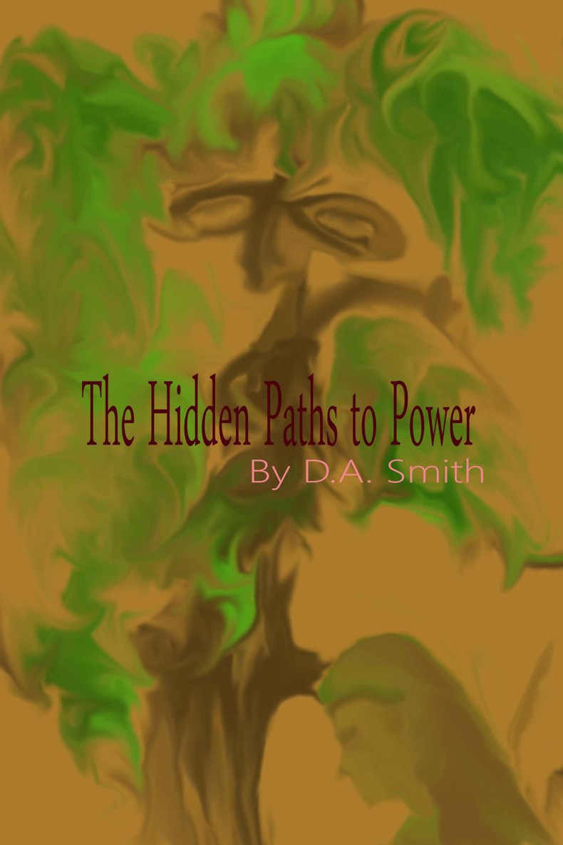 The Hidden Paths to Power by D.A. Smith