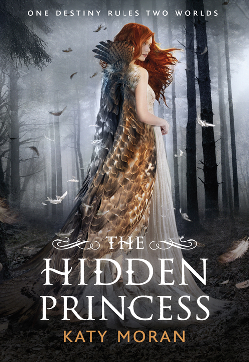 The Hidden Princess (2014) by Katy Moran