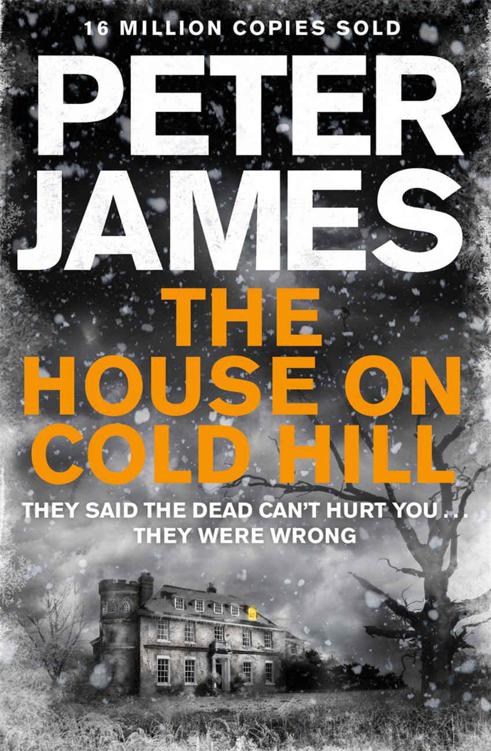 The House on Cold Hill by James, Peter