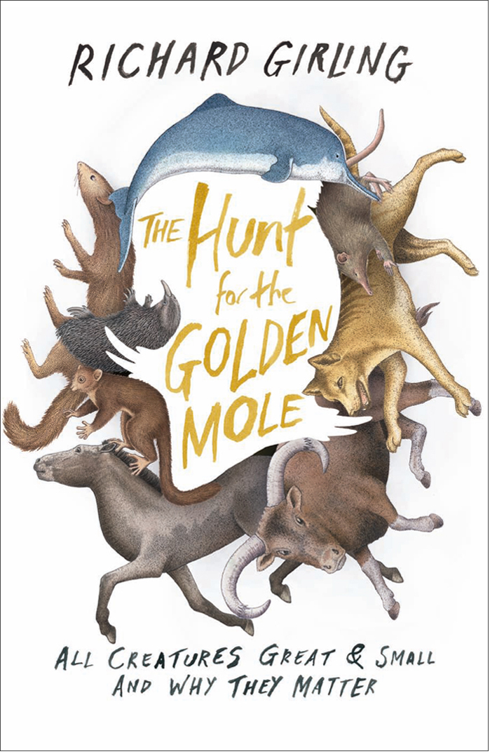 The Hunt for the Golden Mole by Richard Girling