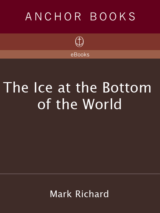 The Ice at the Bottom of the World (2013) by Mark Richard