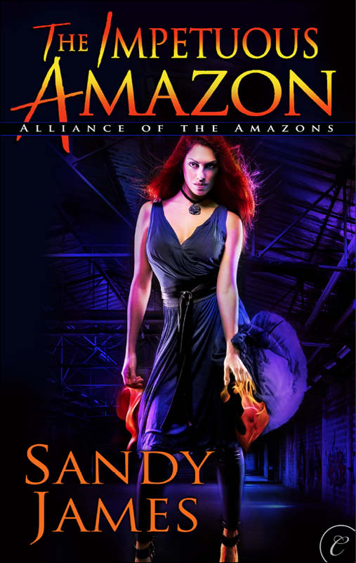 The Impetuous Amazon (2012) by Sandy James