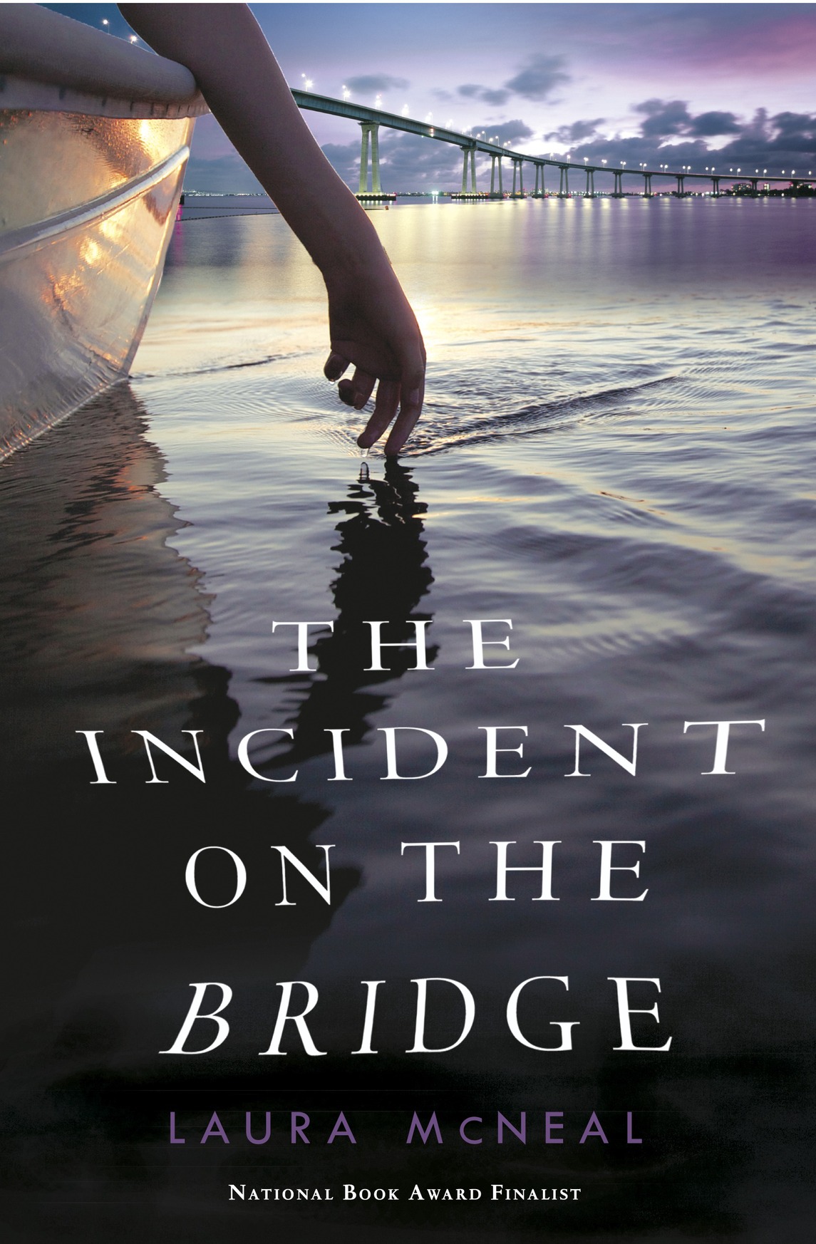 The Incident on the Bridge (2016) by Laura McNeal