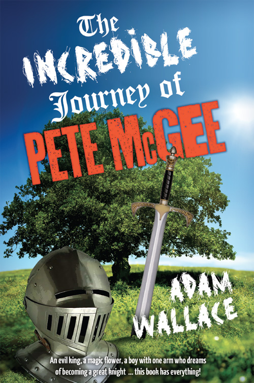 The Incredible Journey of Pete McGee by Adam Wallace