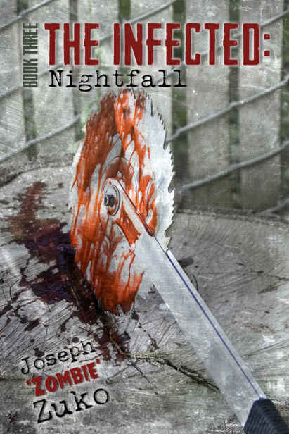 The Infected (Book 3): Nightfall by Zuko, Joseph