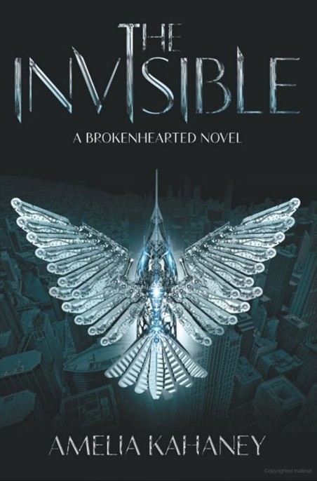 The Invisible by Amelia Kahaney