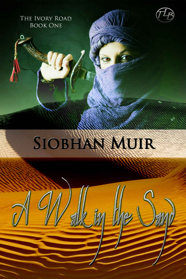 The Ivory Road: A Walk in the Sand by Siobhan Muir