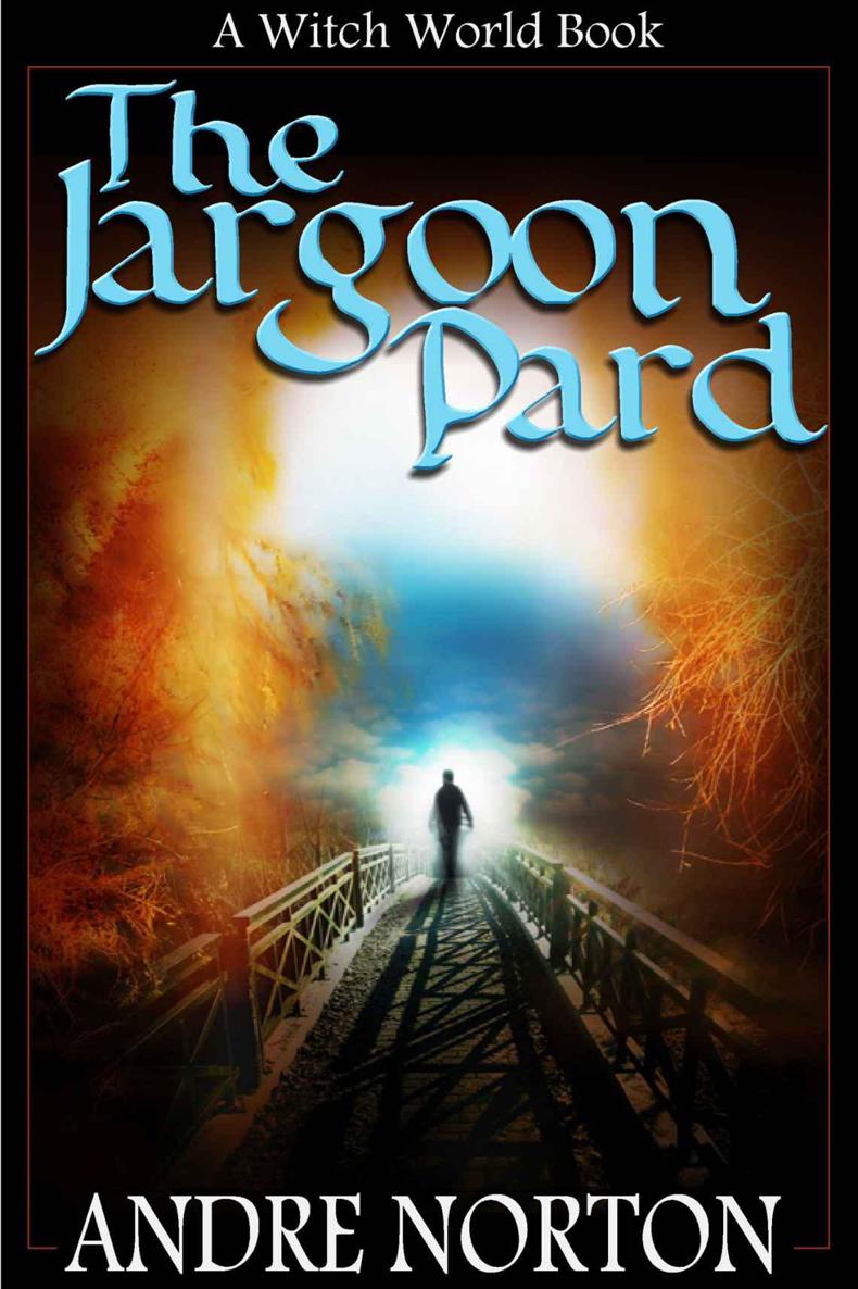 The Jargoon Pard (Witch World Series (High Hallack Cycle)) by Norton, Andre