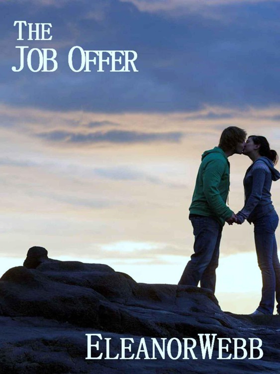 The Job Offer by Webb, Eleanor