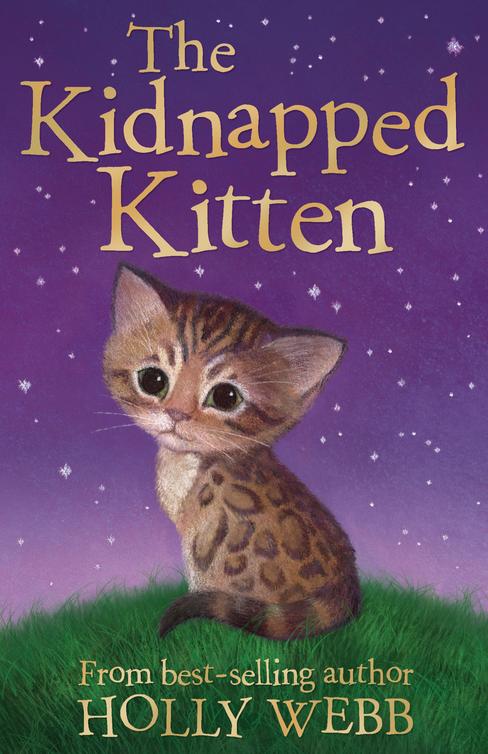 The Kidnapped Kitten (2014)