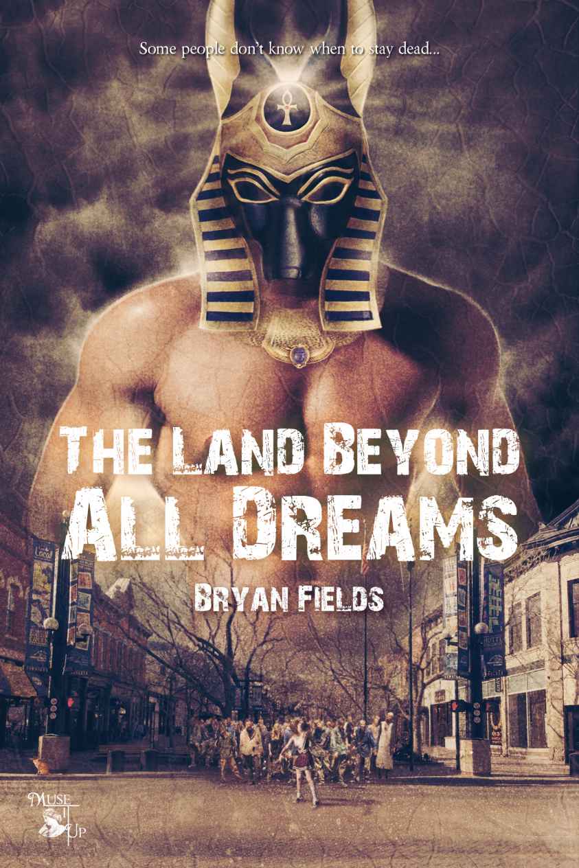 The Land Beyond All Dreams (2014) by Fields, Bryan