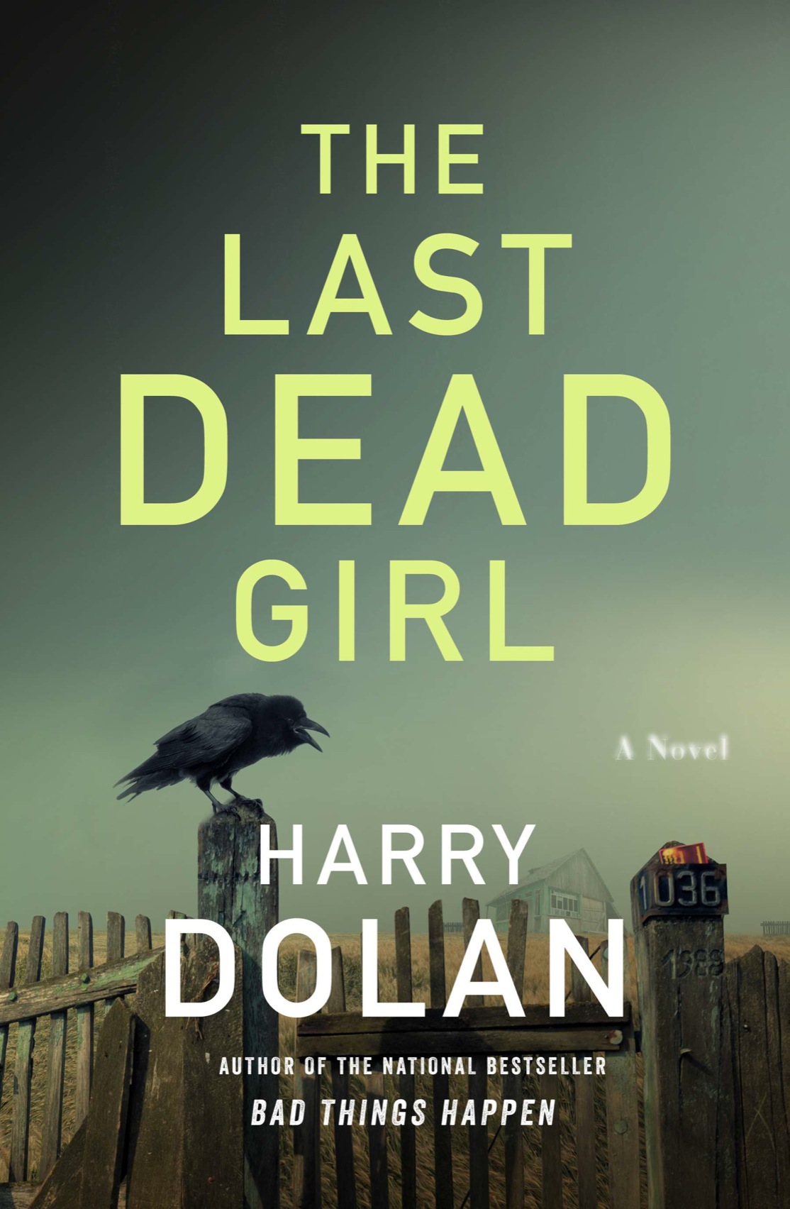 The Last Dead Girl (2014) by Harry Dolan