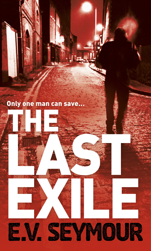 The Last Exile (2012) by E.V. Seymour