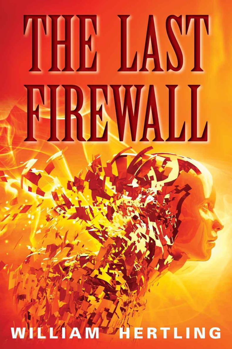 The Last Firewall by Hertling, William