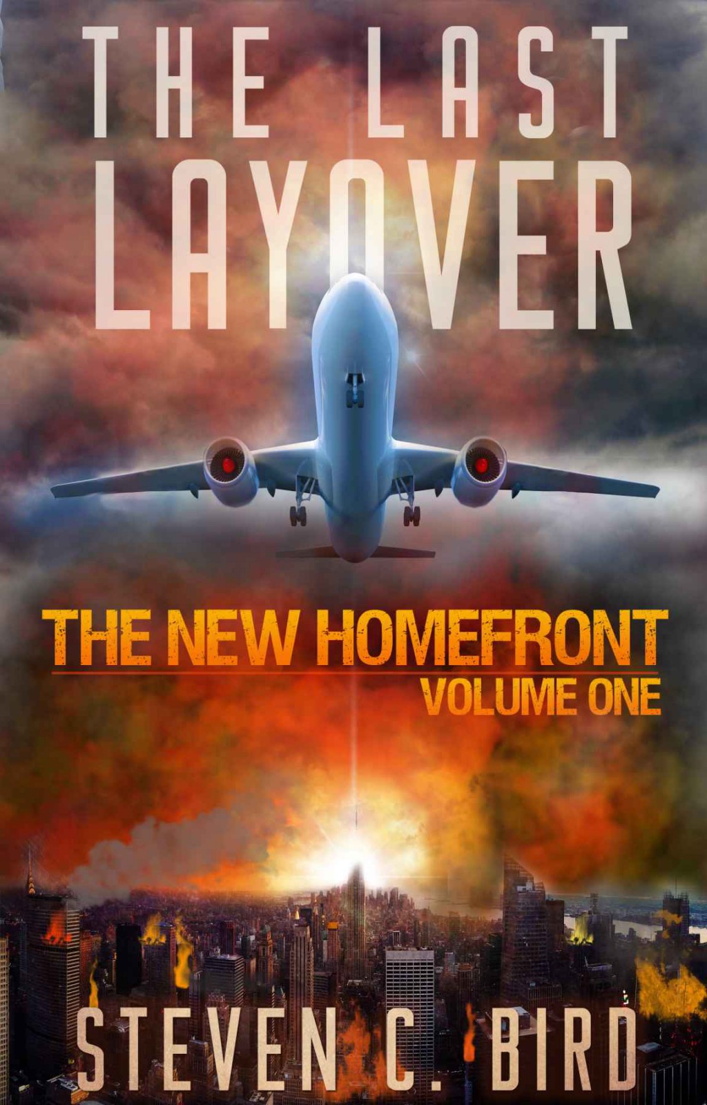 The Last Layover by Steven Bird