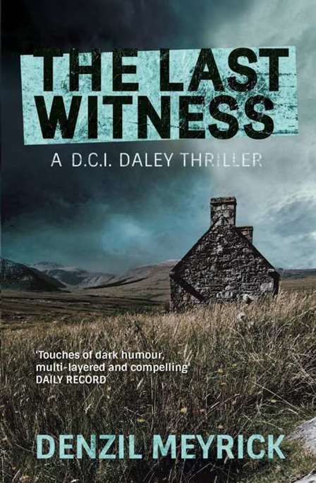 The Last Witness by Denzil Meyrick