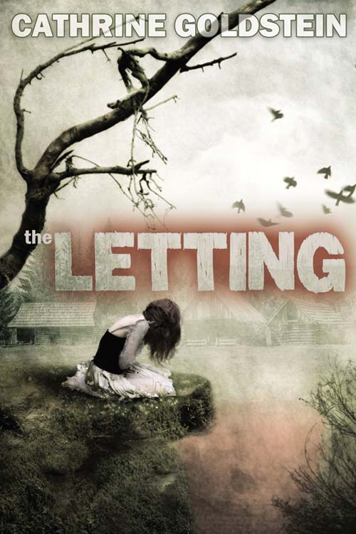 The Letting (2014) by Cathrine Goldstein