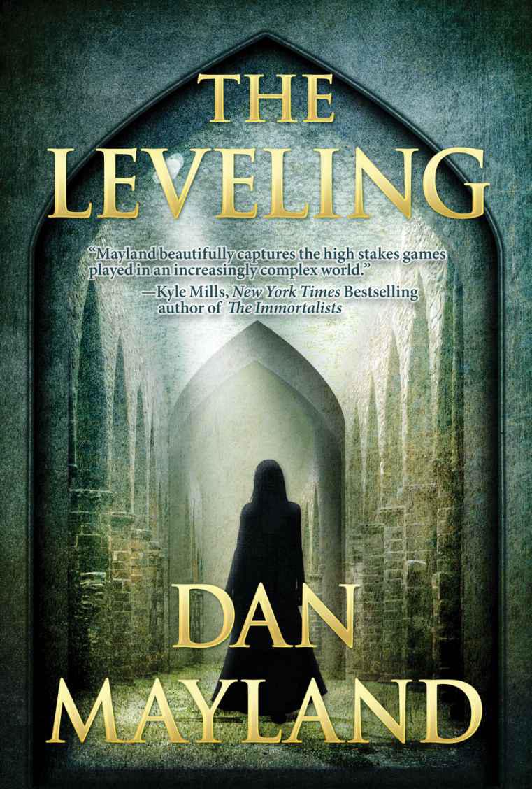 The Leveling by Dan Mayland