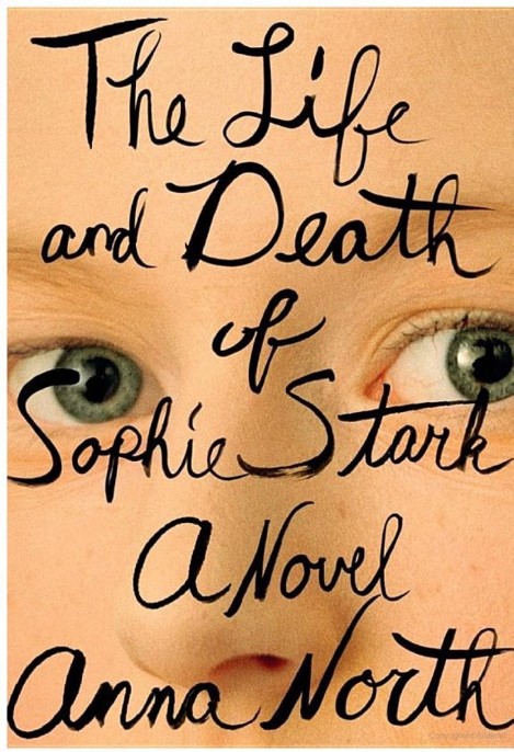 The Life and Death of Sophie Stark by Anna North