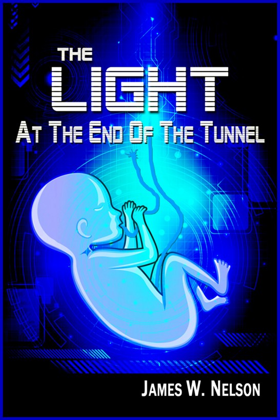 The Light at the End of the Tunnel by James W. Nelson