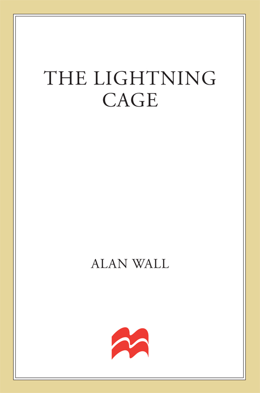 The Lightning Cage by Alan Wall