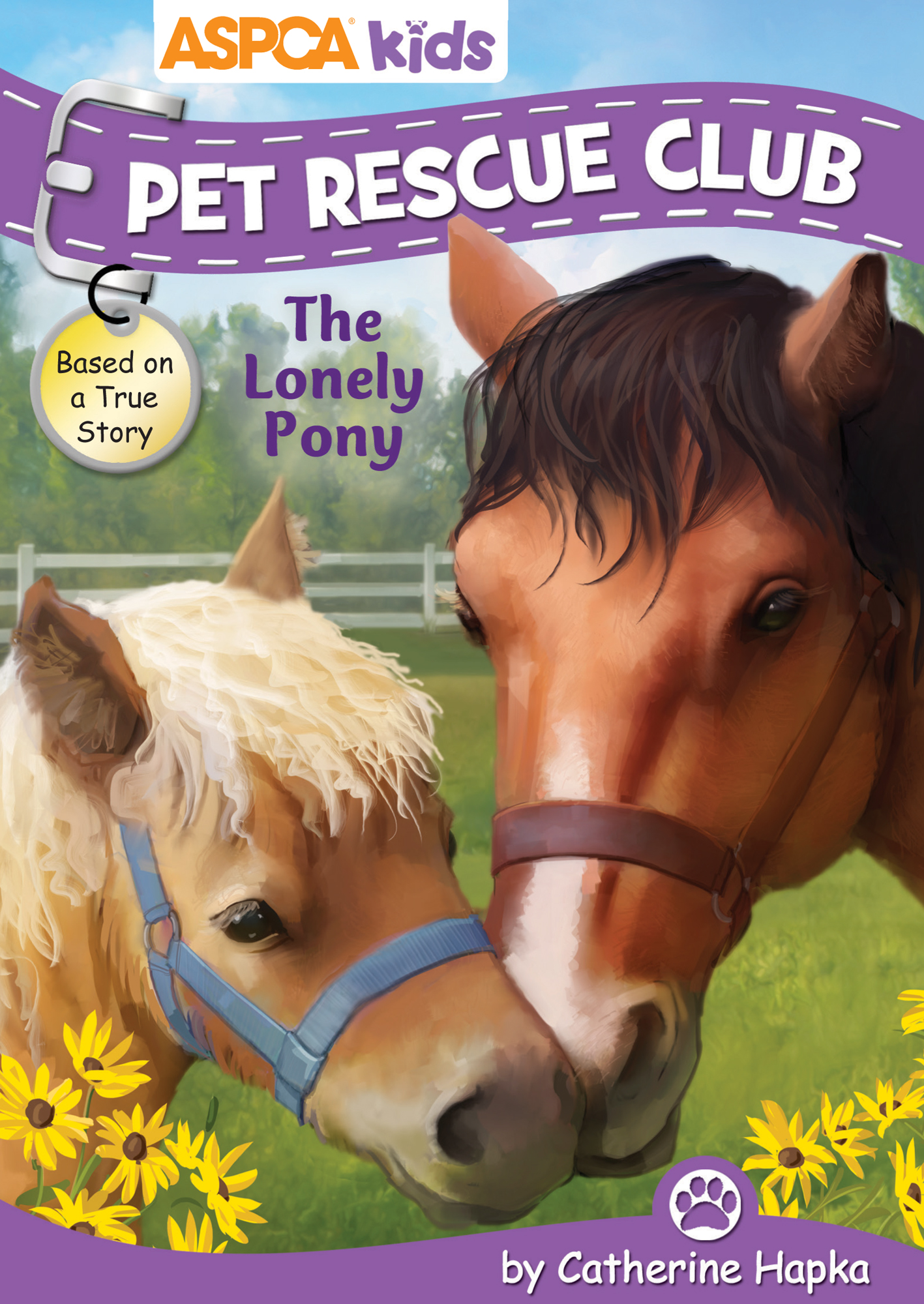 The Lonely Pony by Catherine Hapka