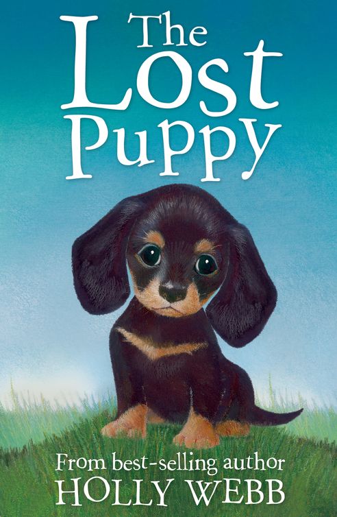 The Lost Puppy (2012) by Holly Webb