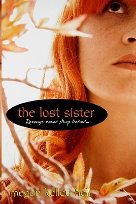 The Lost Sister by Megan Kelley Hall