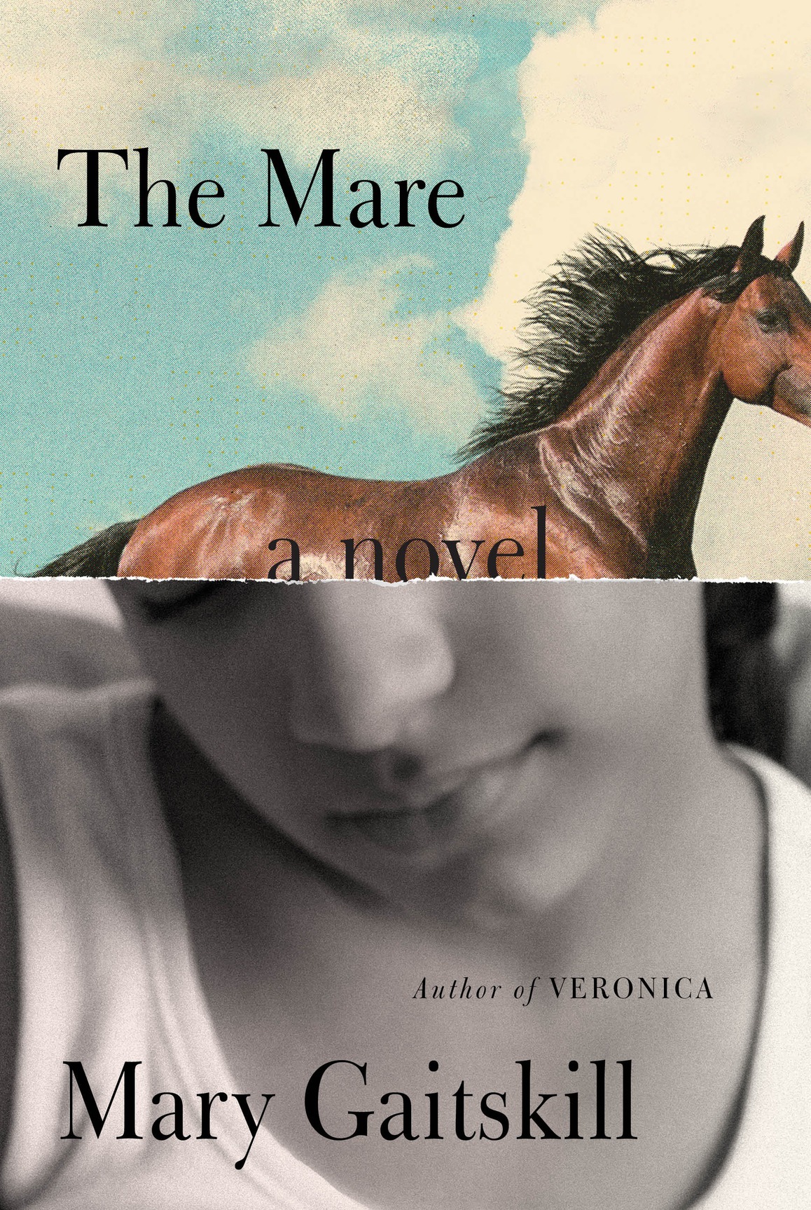 The Mare (2015) by Mary Gaitskill