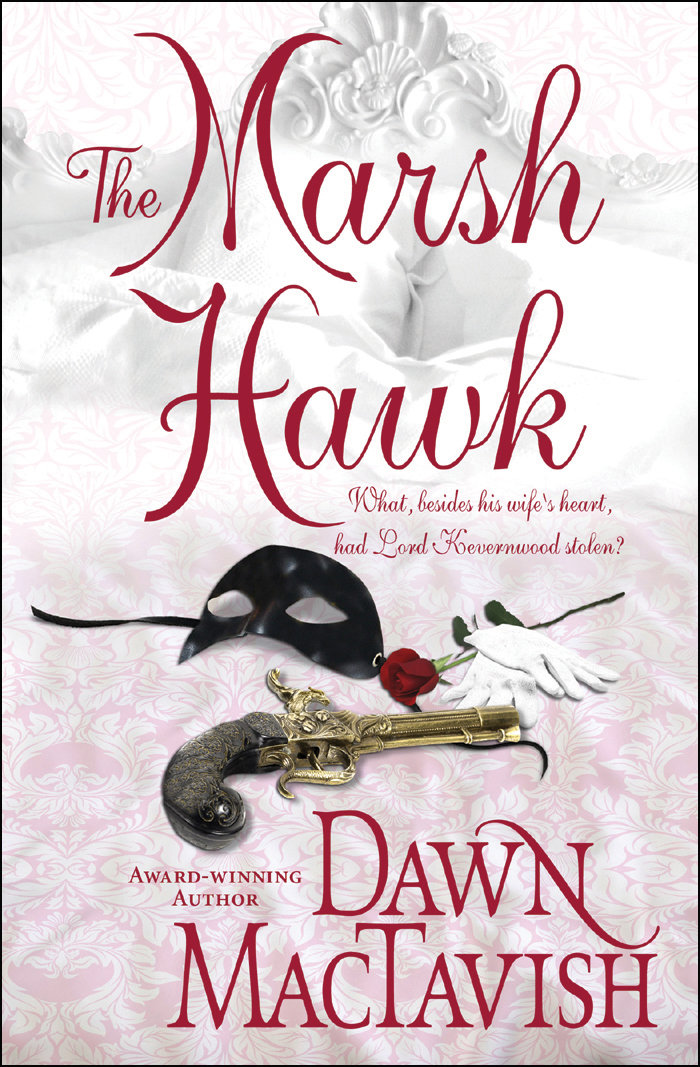 The Marsh Hawk by Dawn Mactavish