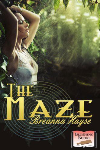 The Maze by Breanna Hayse