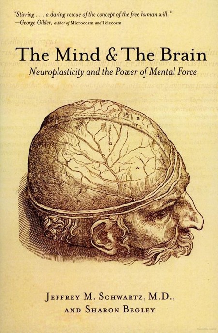 The Mind and the Brain by Jeffrey M. Schwartz