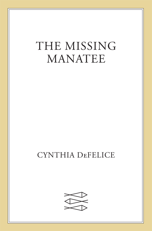 The Missing Manatee