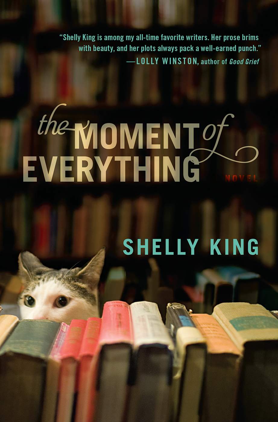 The Moment of Everything by Shelly King