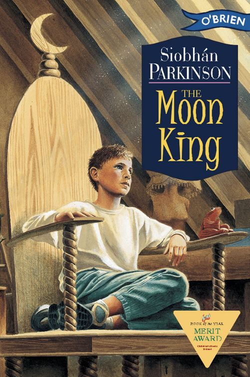 The Moon King (2012) by Siobhán Parkinson