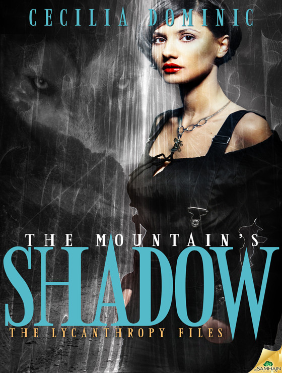 The Mountain's Shadow by Cecilia Dominic