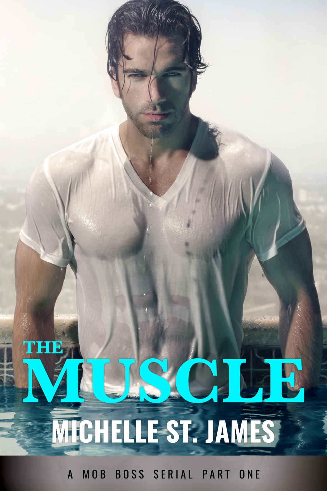 The Muscle Part One by Michelle St. James