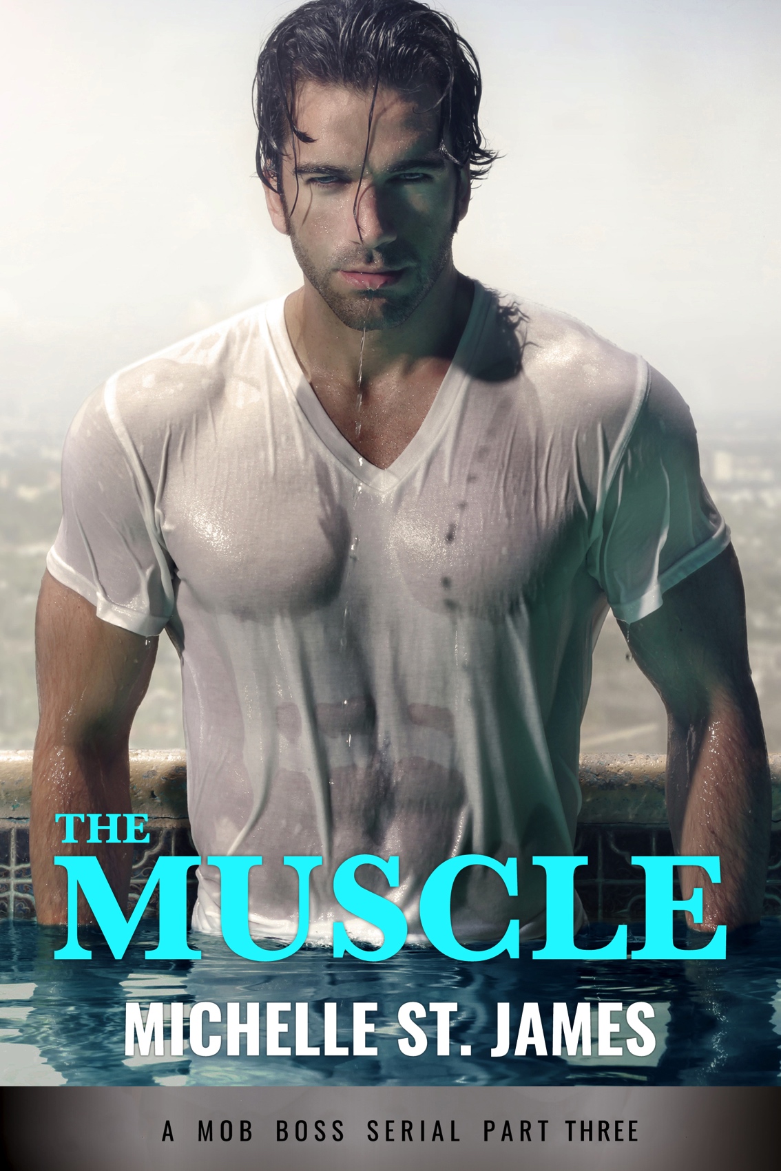 The Muscle Part Three by Michelle St. James