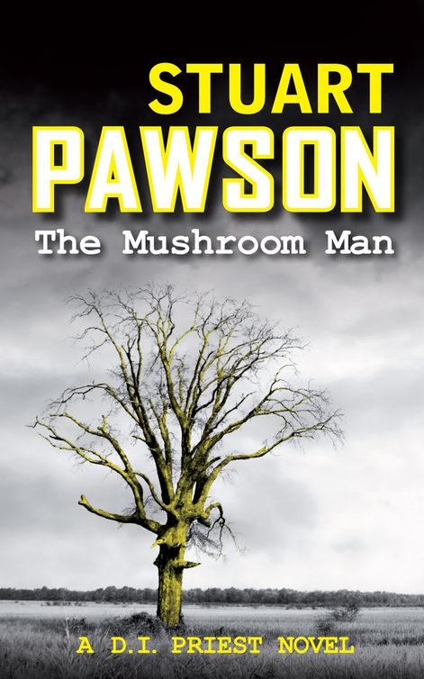 The Mushroom Man (2012) by Stuart Pawson