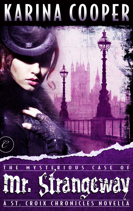 The Mysterious Case of Mr. Strangeway (The St. Croix Chronicles) by Cooper, Karina