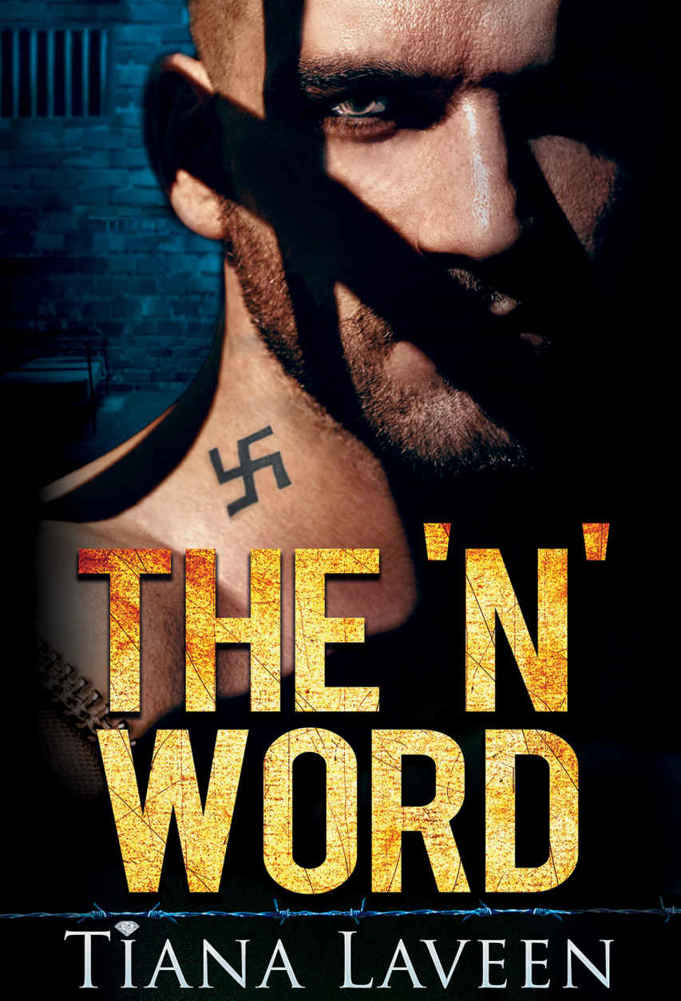 The 'N' Word, Book 1 by Tiana Laveen