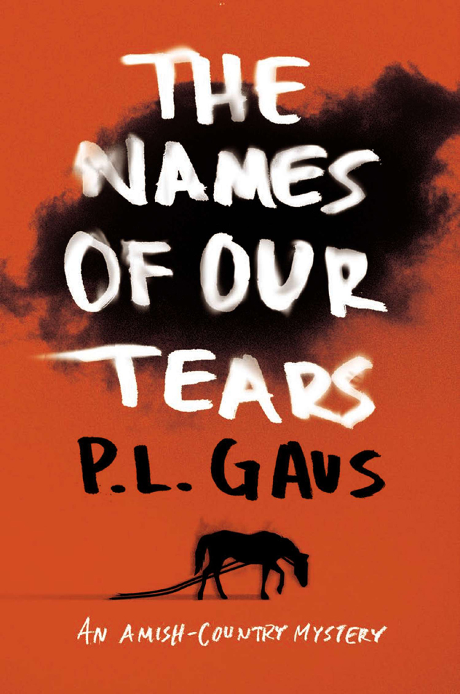 The Names of Our Tears (2013) by P. L. Gaus