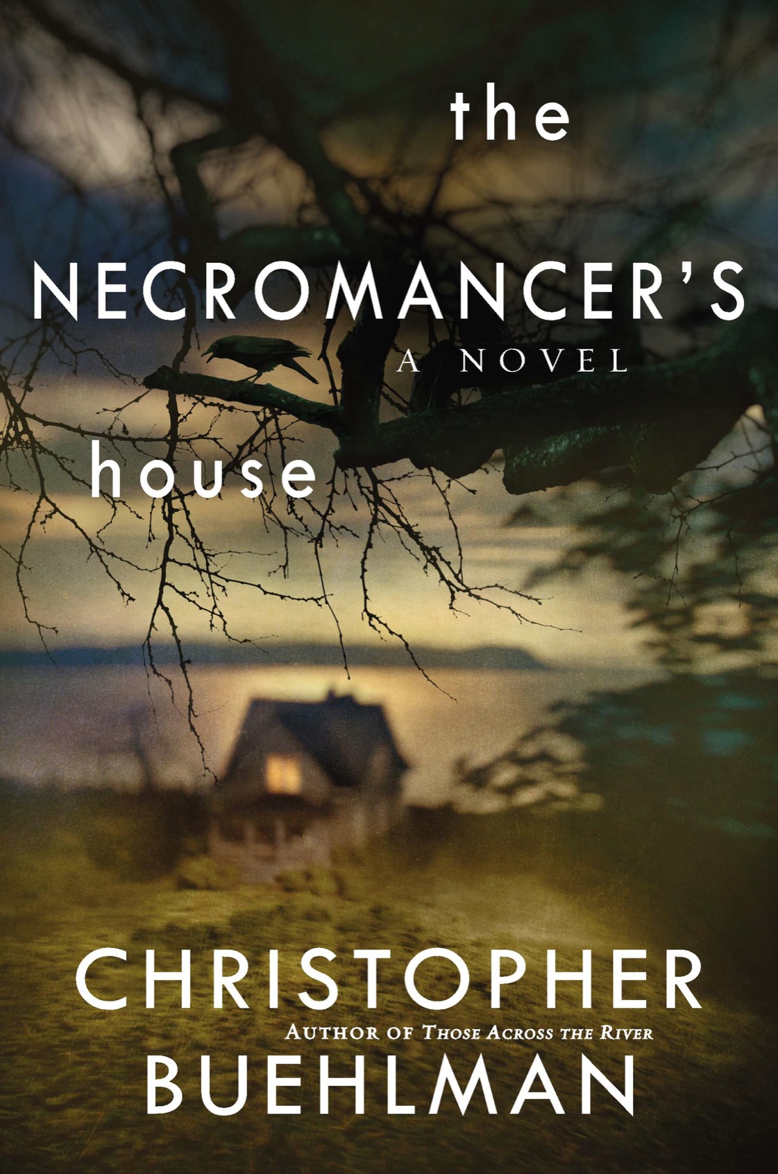 The Necromancer's House (2013)