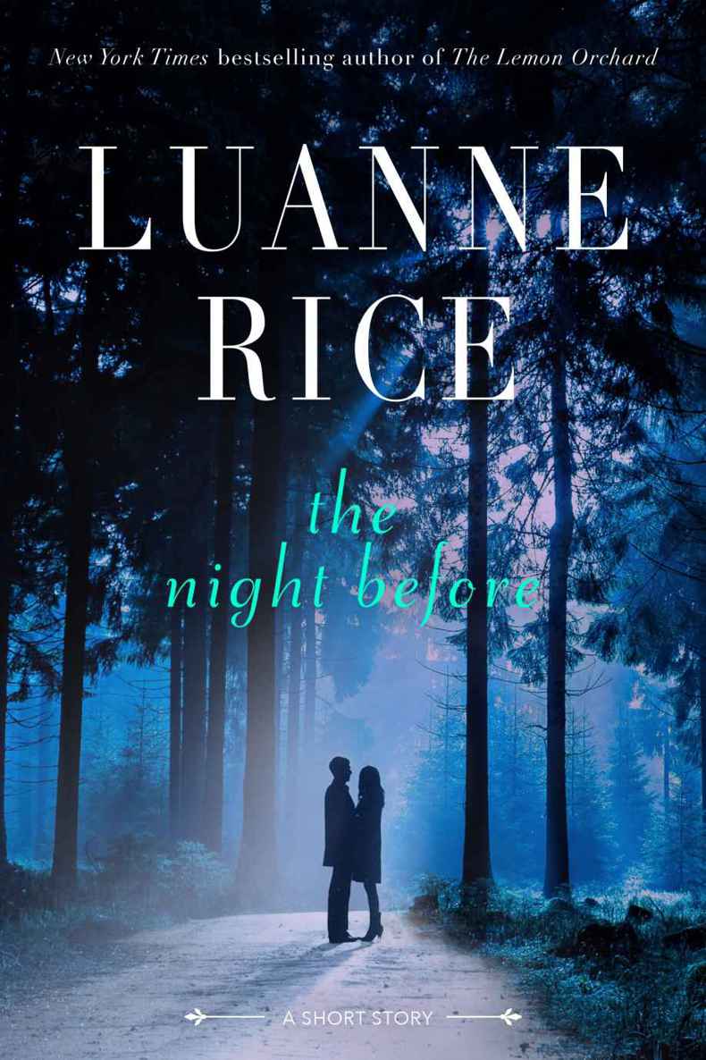 The Night Before by Rice, Luanne