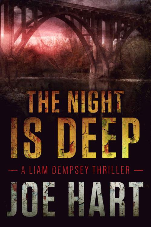 The Night Is Deep (A Liam Dempsey Thriller Book 2)