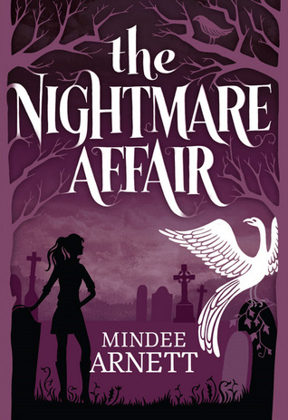 The Nightmare Affair (2013) by Mindee Arnett