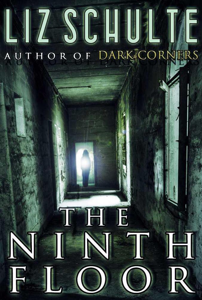 The Ninth Floor by Liz Schulte