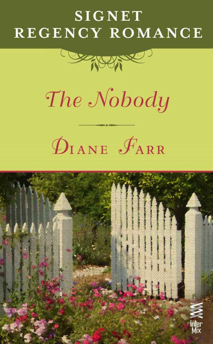 The Nobody: Signet Regency Romance (InterMix) by Farr, Diane