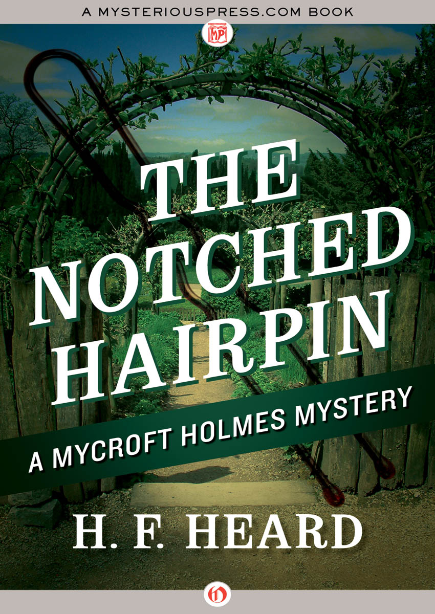 The Notched Hairpin (2016)